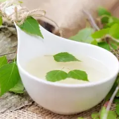 Zioła na układ moczowy: Top 5 dla zdrowia nerek i pęcherza