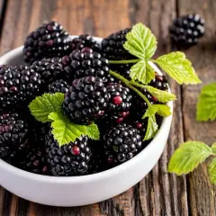 Ile kalorii mają jeżyny i jak wpływają na Twoją dietę - Poradnik zdrowia