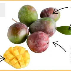 Mango ile kalorii ma naprawdę? Poznaj wartości odżywcze tego owocu