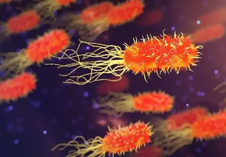 Objawy C difficile: niebezpieczne powikłania, które musisz znać