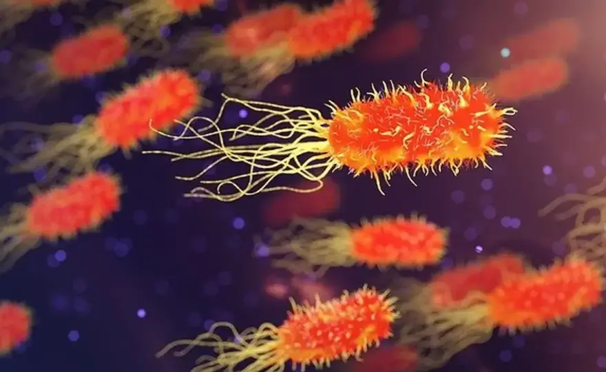 Objawy C difficile: niebezpieczne powikłania, które musisz znać